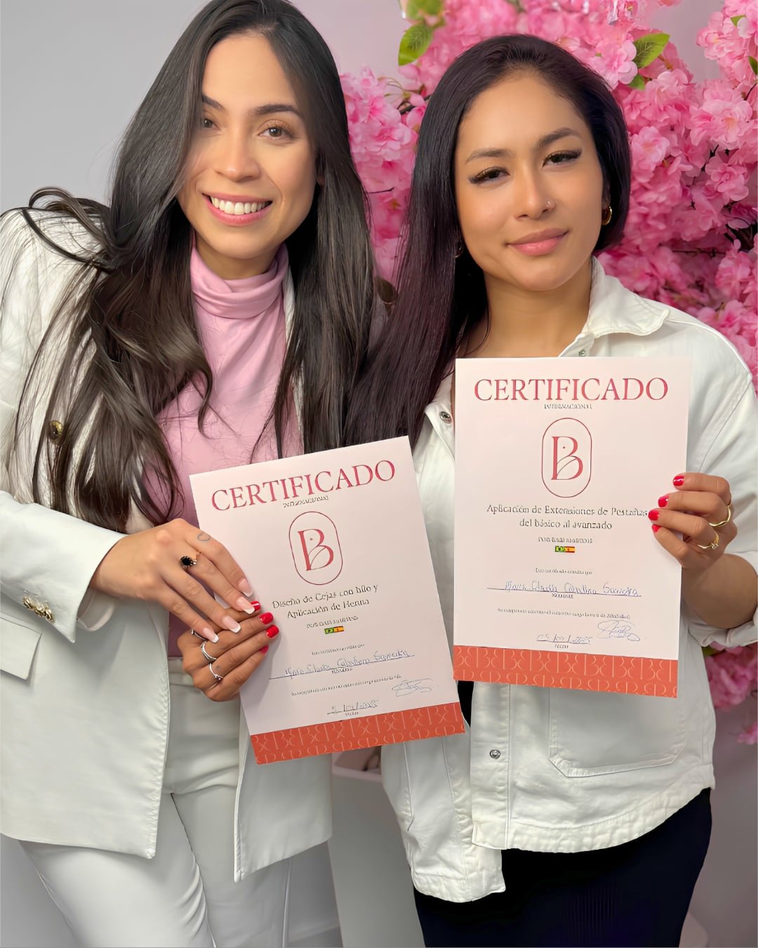 Graduated professional student case